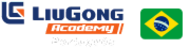 Logo - LiuGong Academy - Brasil
